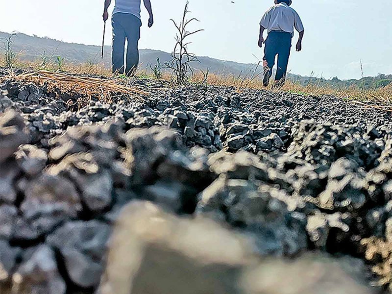 Explotación seca laguna en Veracruz; farallón, la víctima thumbnail