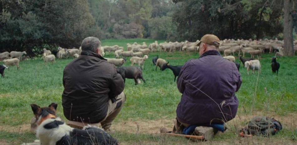5.5.- Documental español ‘Fauna’ se convierte en un favorito del festival Hot Docs thumbnail