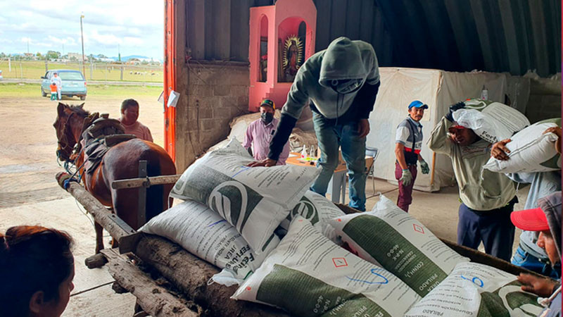 Avanza 87.5 por ciento la entrega de fertilizante gratuito en Aguascalientes thumbnail