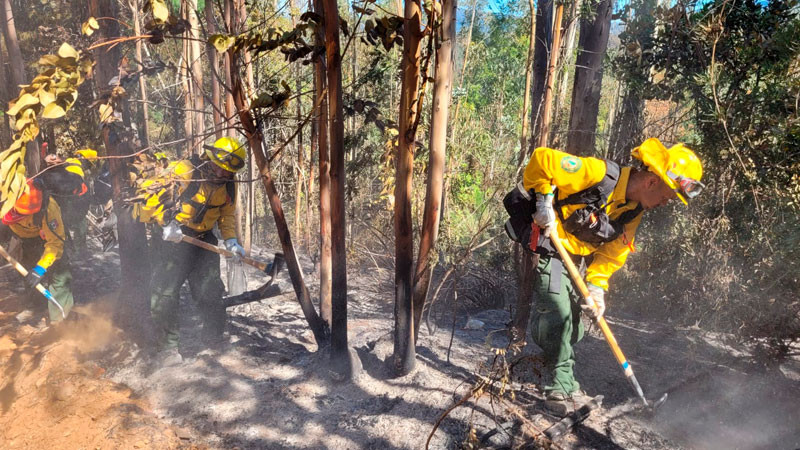 Brigadas de México en Chile sofocan incendios en 291 hectáreas thumbnail