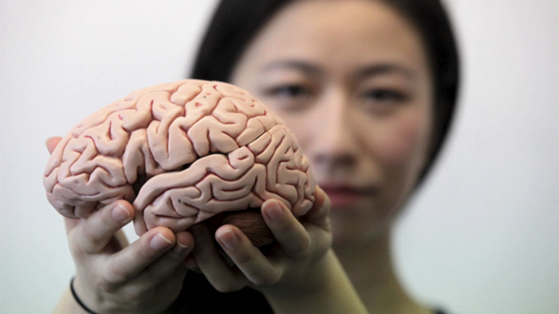 Médicos australianos retiran lombriz intestinal de 8 cm en el cerebro de una mujer thumbnail