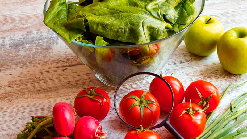 Garantiza Agricultura sanidad e inocuidad de alimentos básicos para la población thumbnail