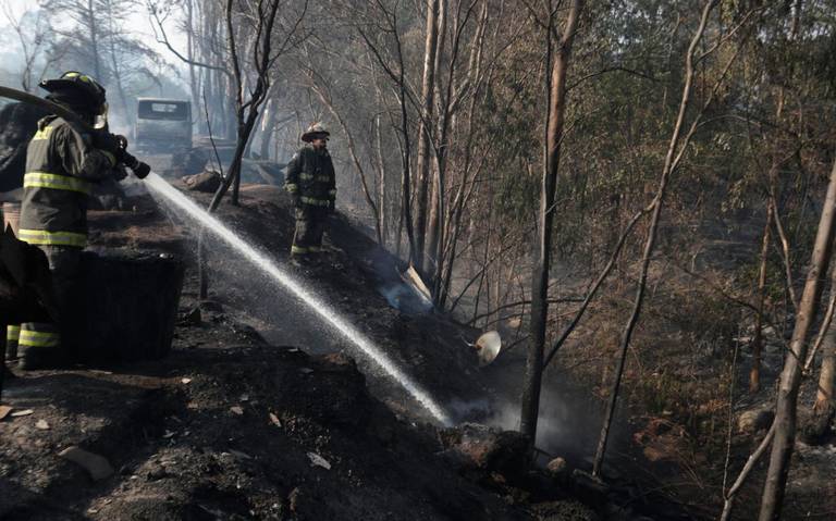 Mueren 19 personas tras múltiples incendios en Chile thumbnail