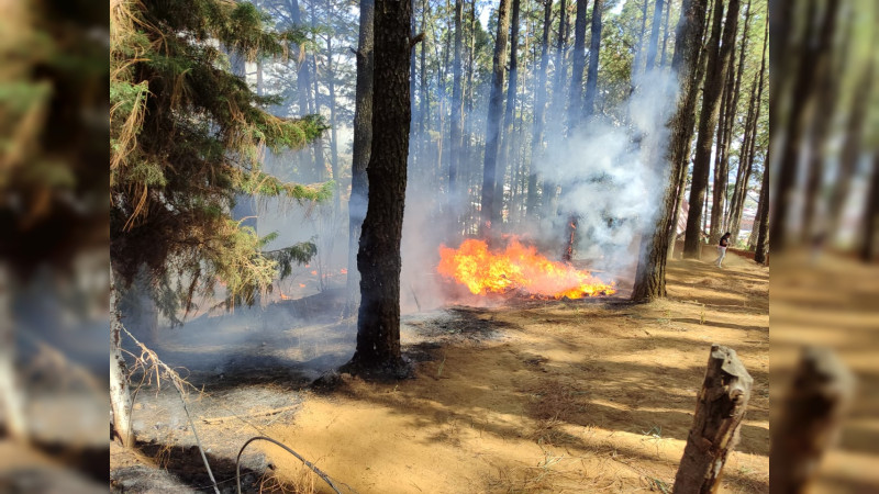 Brigadistas combaten incendios forestales en Uruapan thumbnail