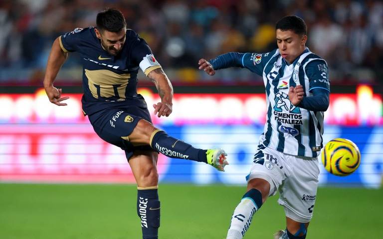 Pumas thumbnail