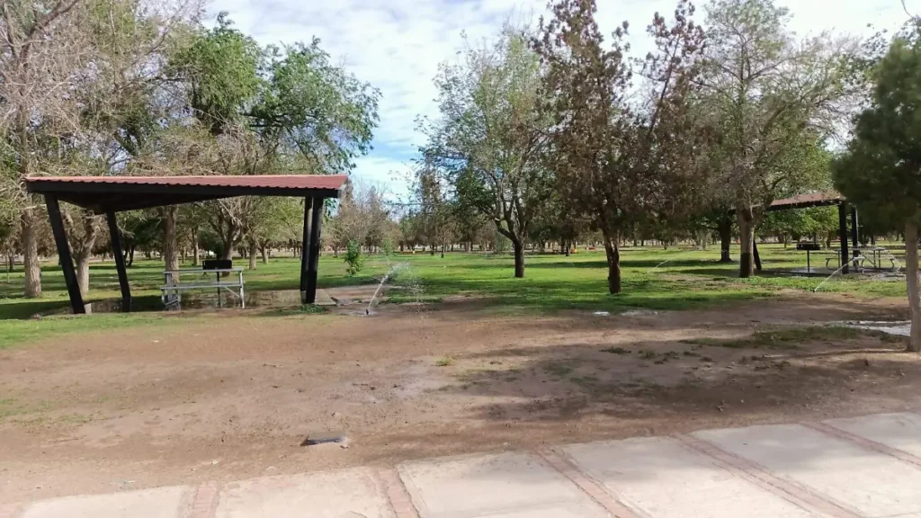 Tardaría hasta seis años reforestación de El Chamizal thumbnail