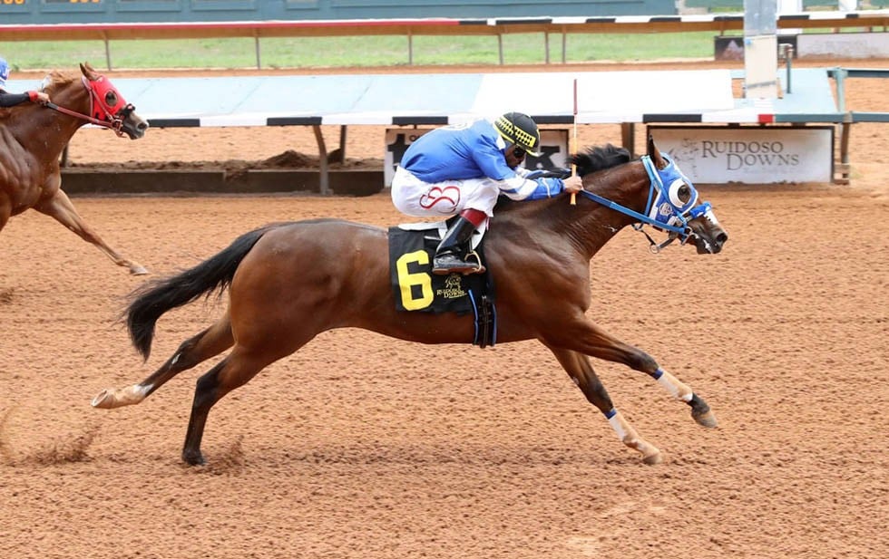 web-caballos-mVhOsxQIW thumbnail
